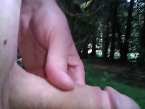 another wank in the forest