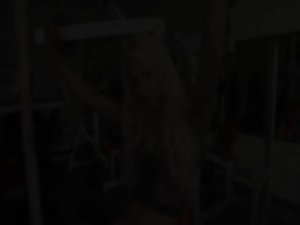 Crazy threesome action shemale bang in the gym