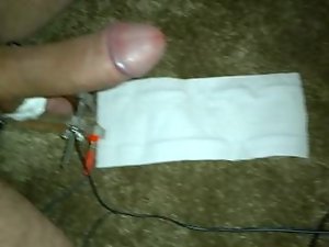 balls pounded and electrocuted while I cum